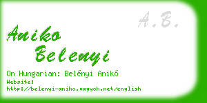 aniko belenyi business card
